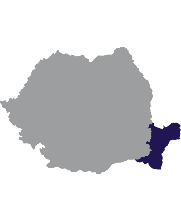 Landkaart Roemenië grijs met regio Dobroedzja donkerblauw op transparante achtergrond - 600 * 733 pixels